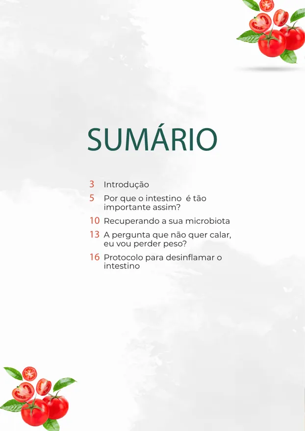 Protocolo digital - página 2